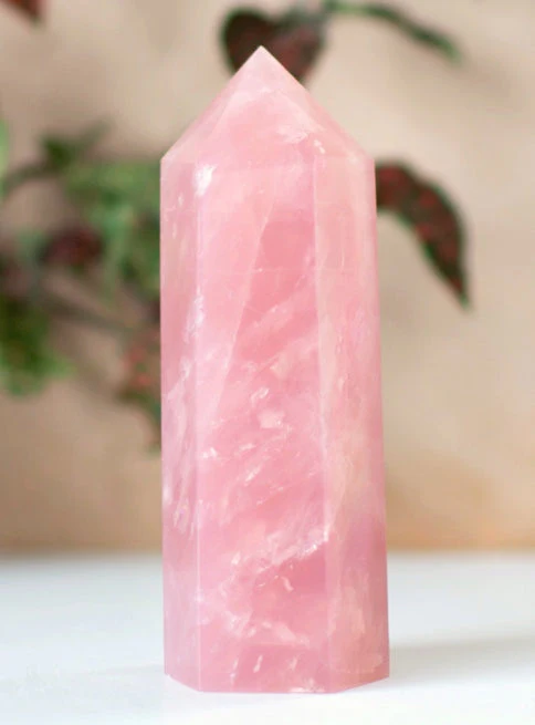 Rose-Quartz-Crystal-Point-Wicks-and-Stonez-883